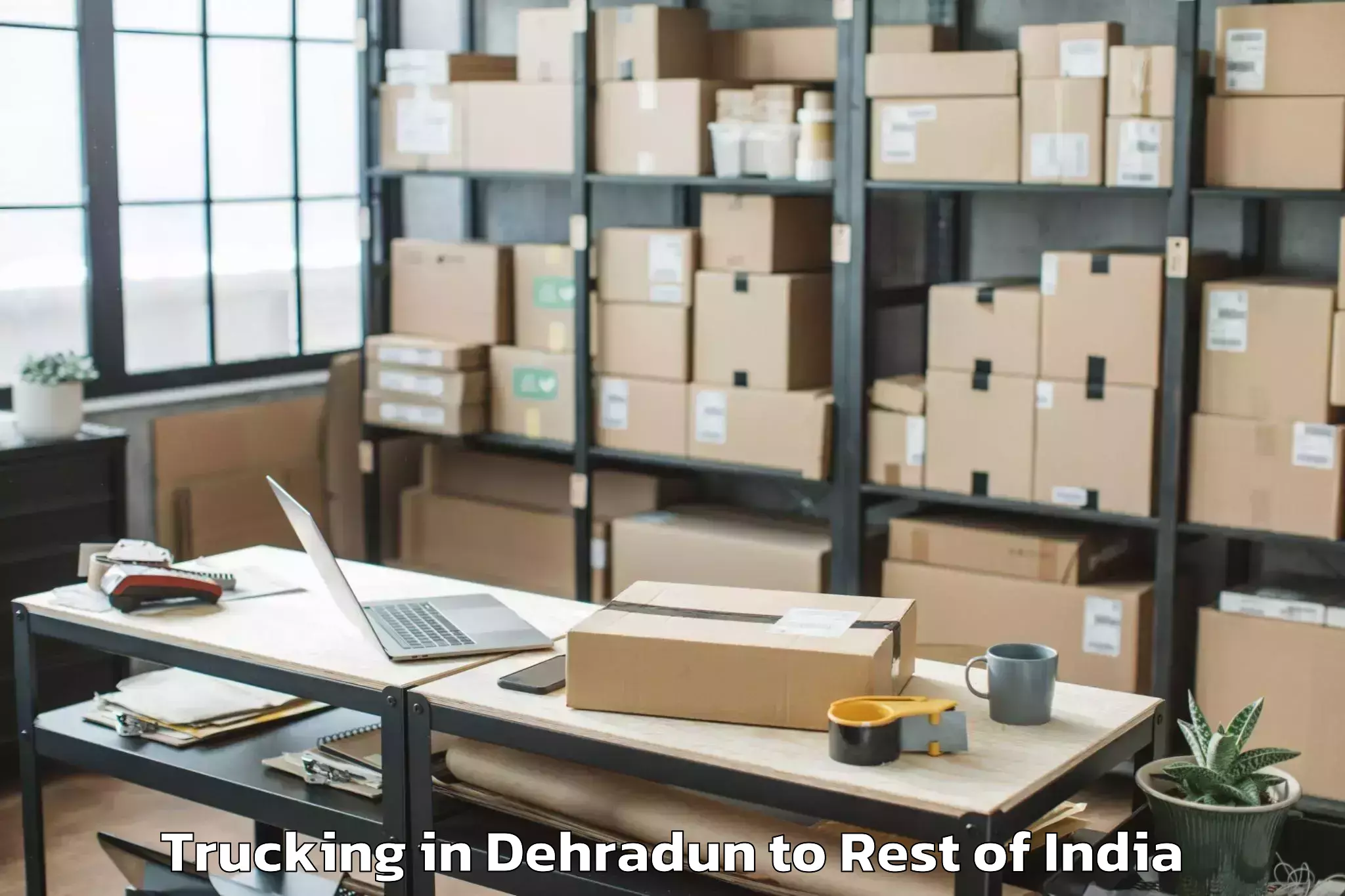 Top Dehradun to Dooru Trucking Available